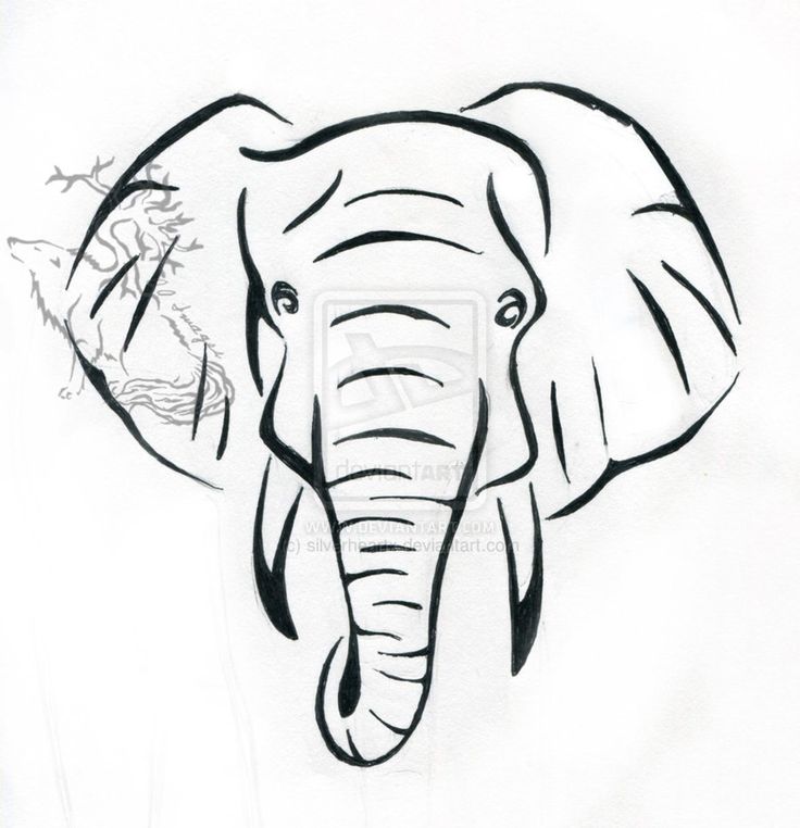 736x762 Collection Of Elephant Black White Line Art Tattoo Design