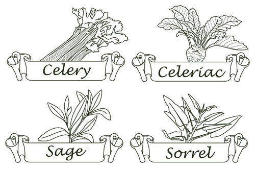 500x333 Hand Drawn Herbs And Spices Labels Vector 05
