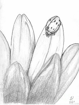 261x350 David Lingenfelter