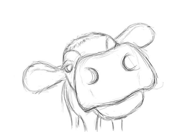 564x423 How To Draw A Cow Nosemouth