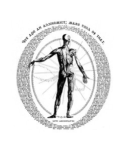 248x300 Hermes Drawings