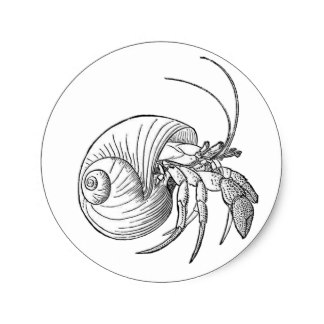 324x324 Hermit Crab Logo Gifts On Zazzle
