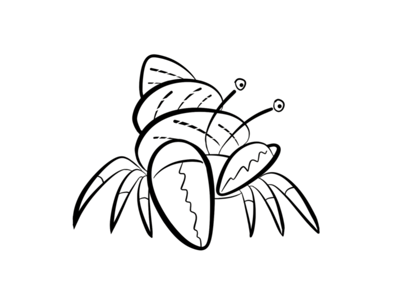 792x612 Hermit Crab Coloring Page Colordad