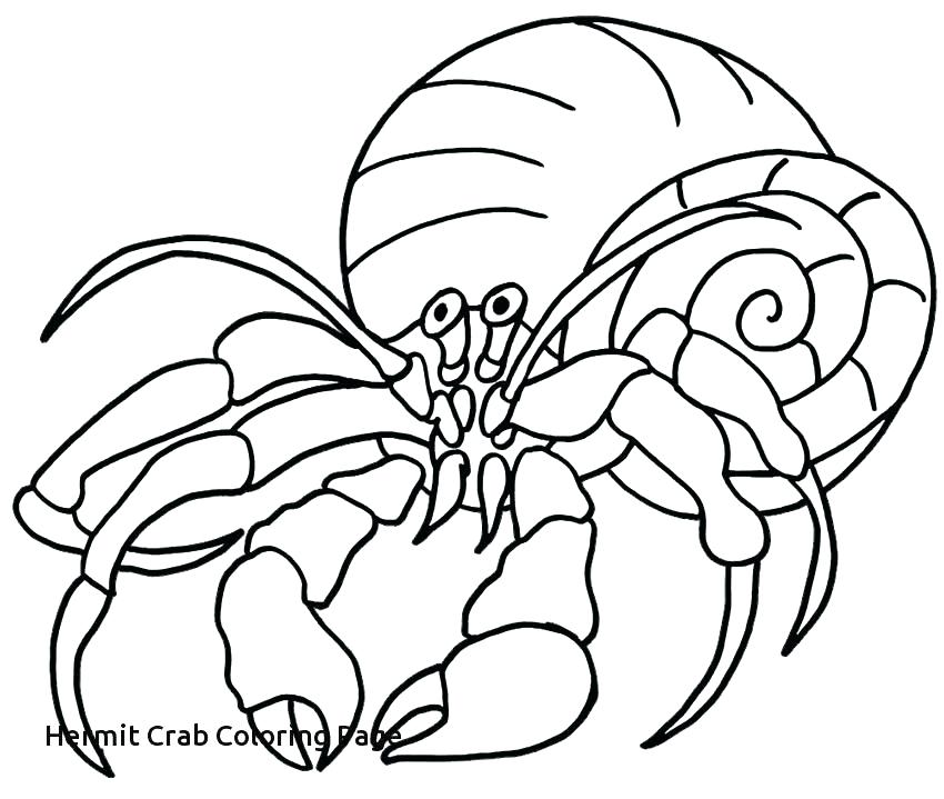 850x719 Coloring Pages Crab Crab Coloring Pages To Print Mr Krabs