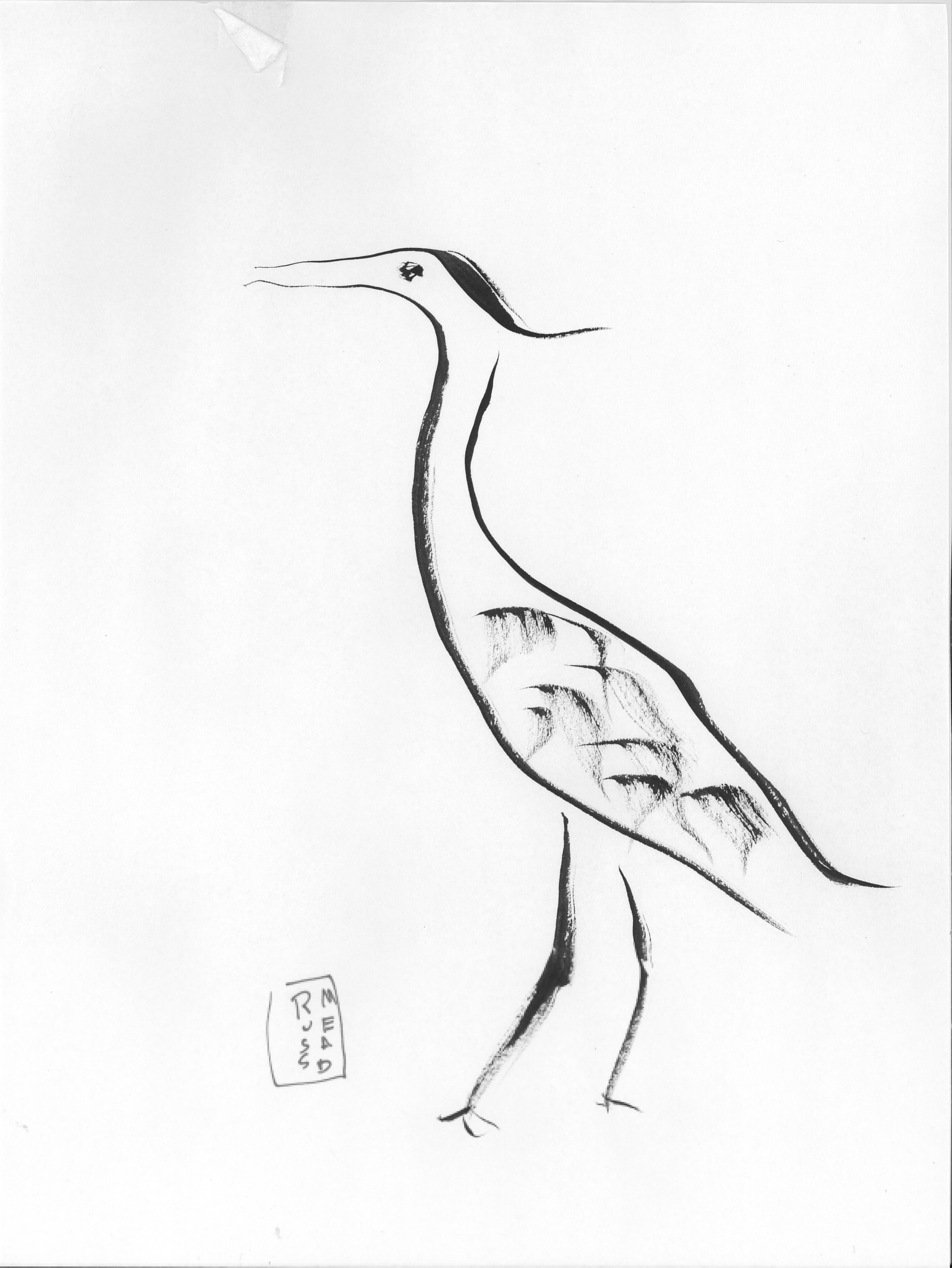 4955x6600 Heron Russ Mead