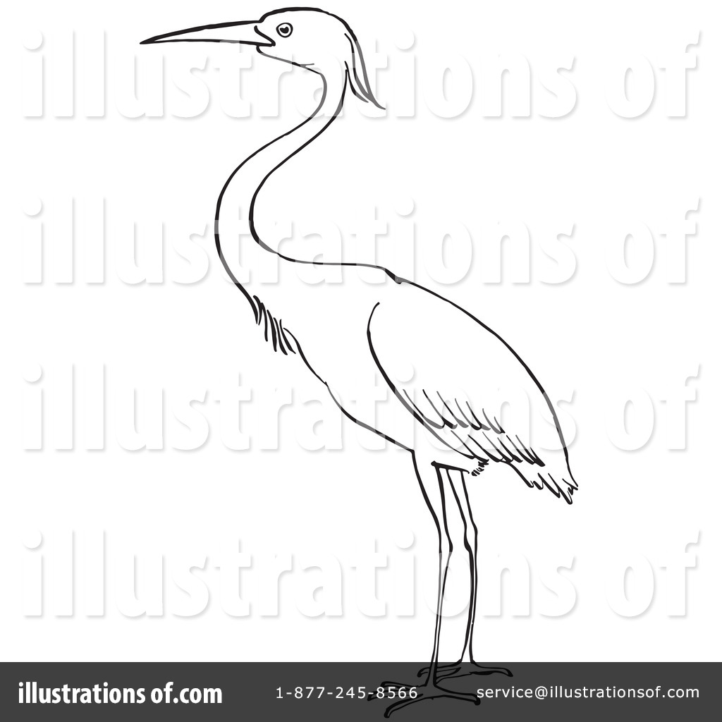 1024x1024 Heron Clipart