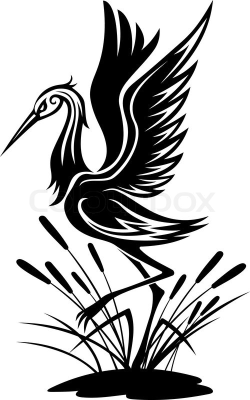 500x800 Heron Bird Stock Vector Colourbox