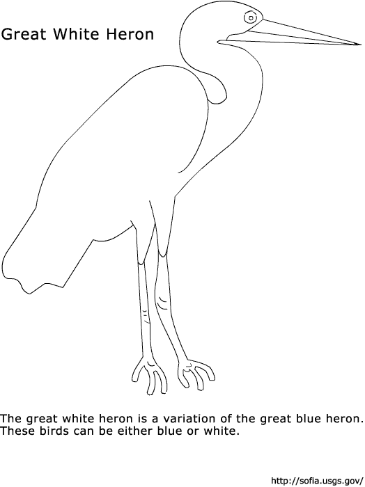 524x700 Sofia Kid's Page