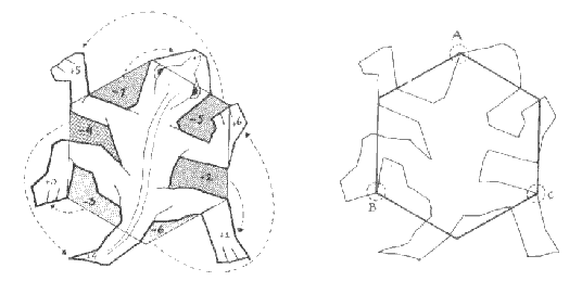 536x259 How Escher Creates A Lizard From A Hexagon