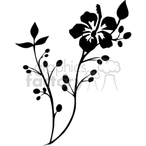 300x300 Royalty Free Black Drawing Of A Hibiscus Flower On A Branch 373760