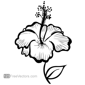 Hibiscus Plant Drawing at GetDrawings | Free download