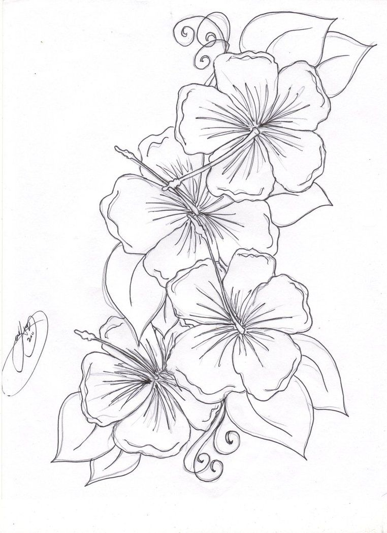 762x1049 Hummingbird Hibiscus Tattoo Drawing The Hibiscus Flowers Tattoo