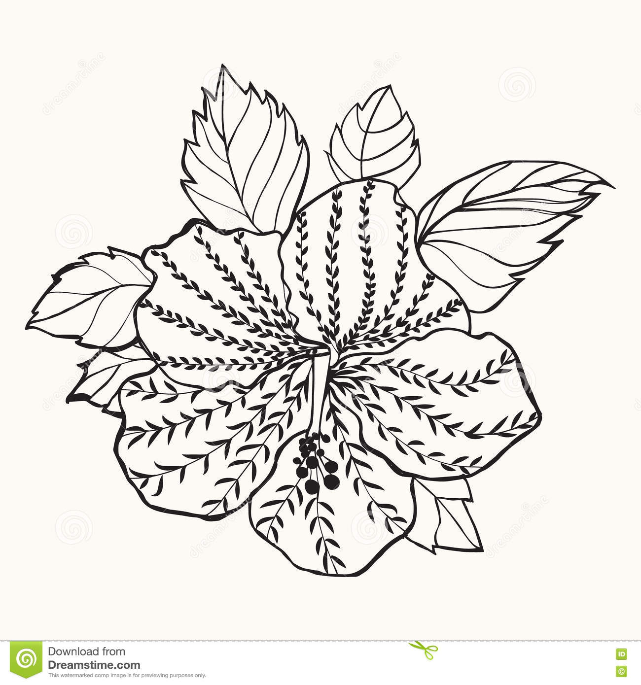 1300x1390 Drawn Leaves Hibiscus Leaf