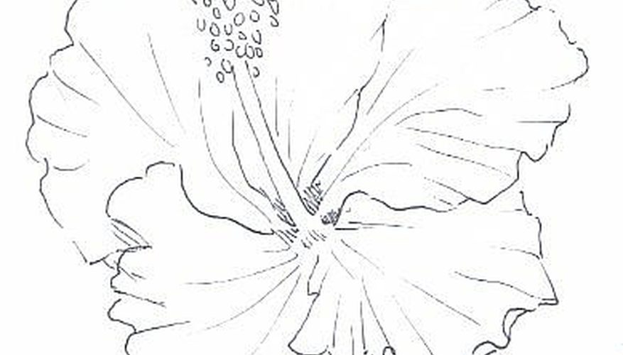 877x500 How To Draw Realistic Flower Petals In Watercolor Pencil And Pen