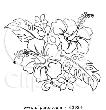 450x470 Collection Of Hibiscus Flowers Tattoo Design