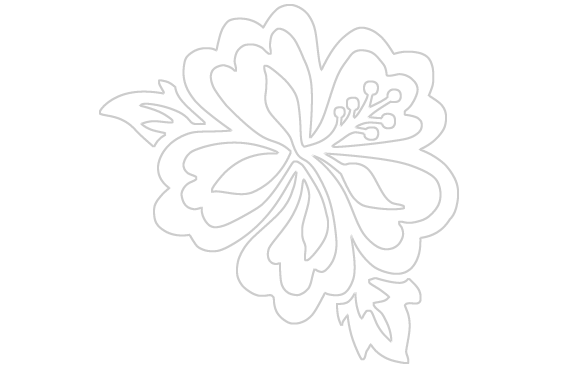 584x368 Hawaiian Hibiscus Flower Drawings Surf City X3cb X3ehibiscus X3c B