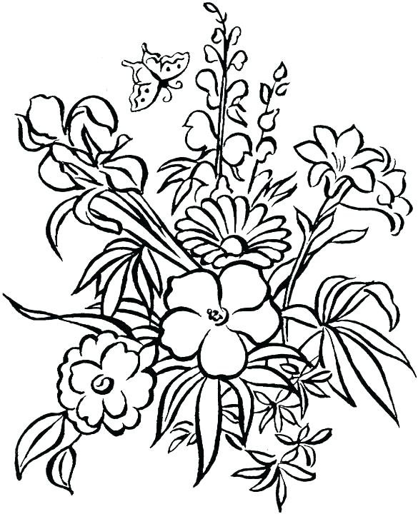 585x720 Hibiscus Flower Coloring Page Hibiscus Flower Drawing Coloring