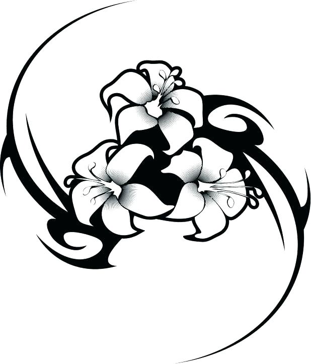 618x723 Hibiscus Flower Coloring Pages Flower Coloring Worksheet Working