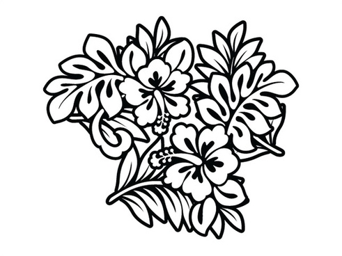 491x368 Hibiscus Free Vector Download (36 Free Vector) For Commercial Use