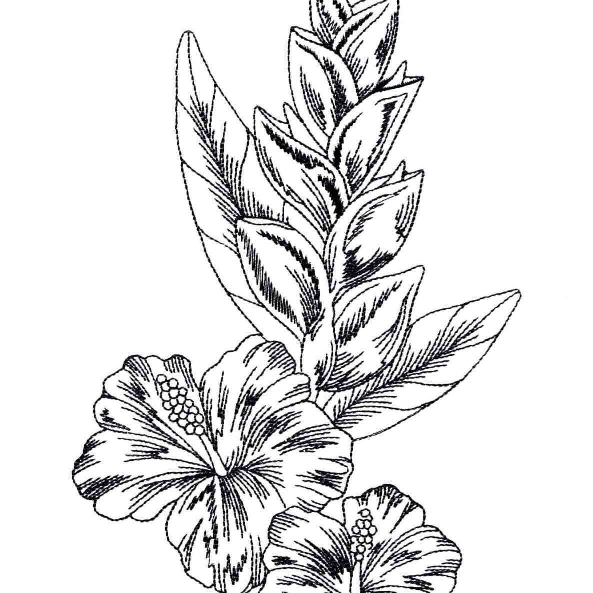 1185x1185 Flower Pencil And In Color Drawn Rainforest Flowers Drawing
