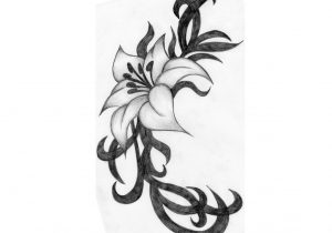 300x210 Flowers Pencil Sketch How To Draw And Sketch Hibiscus Flower Using