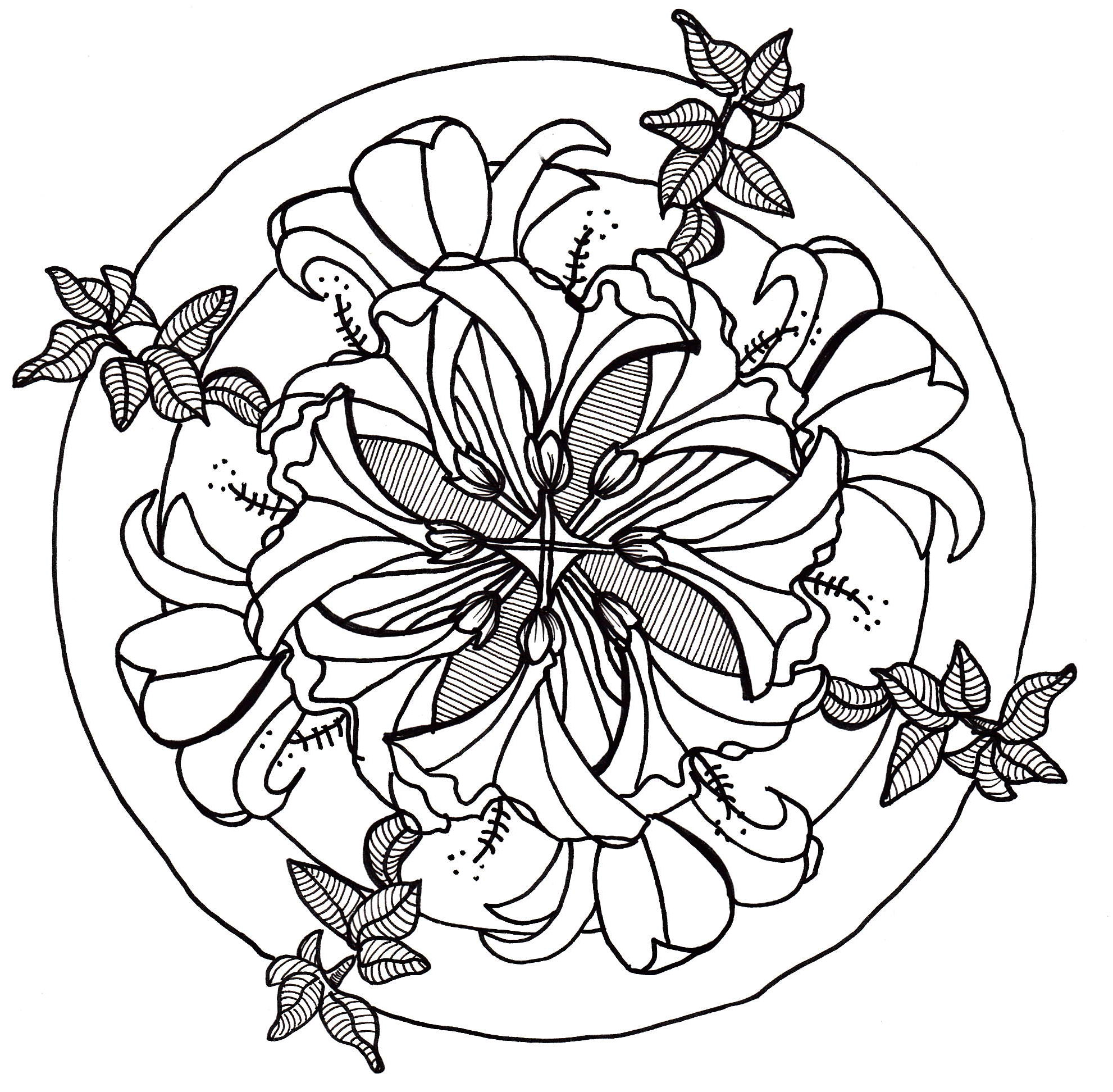 1982x1944 Line Drawing