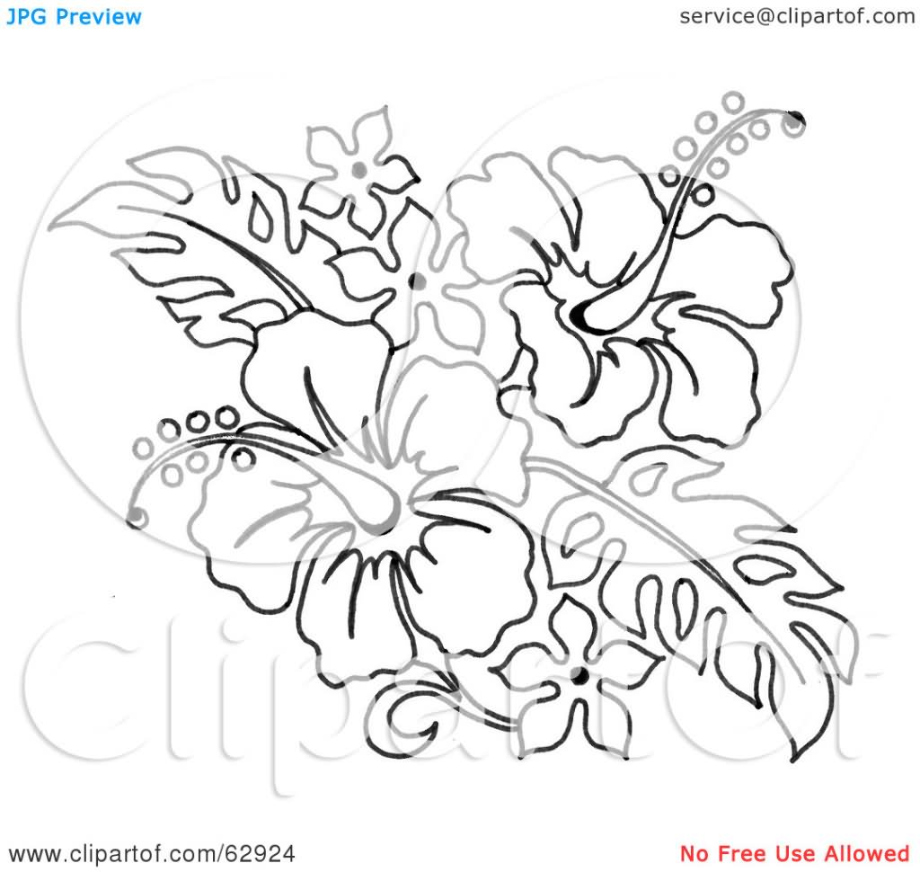 1024x970 Hibiscus Black And White Tattoos