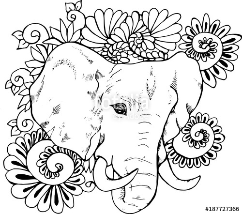 500x442 Illustration Of An Elephant Ganesha, A Hindu God. Black And White