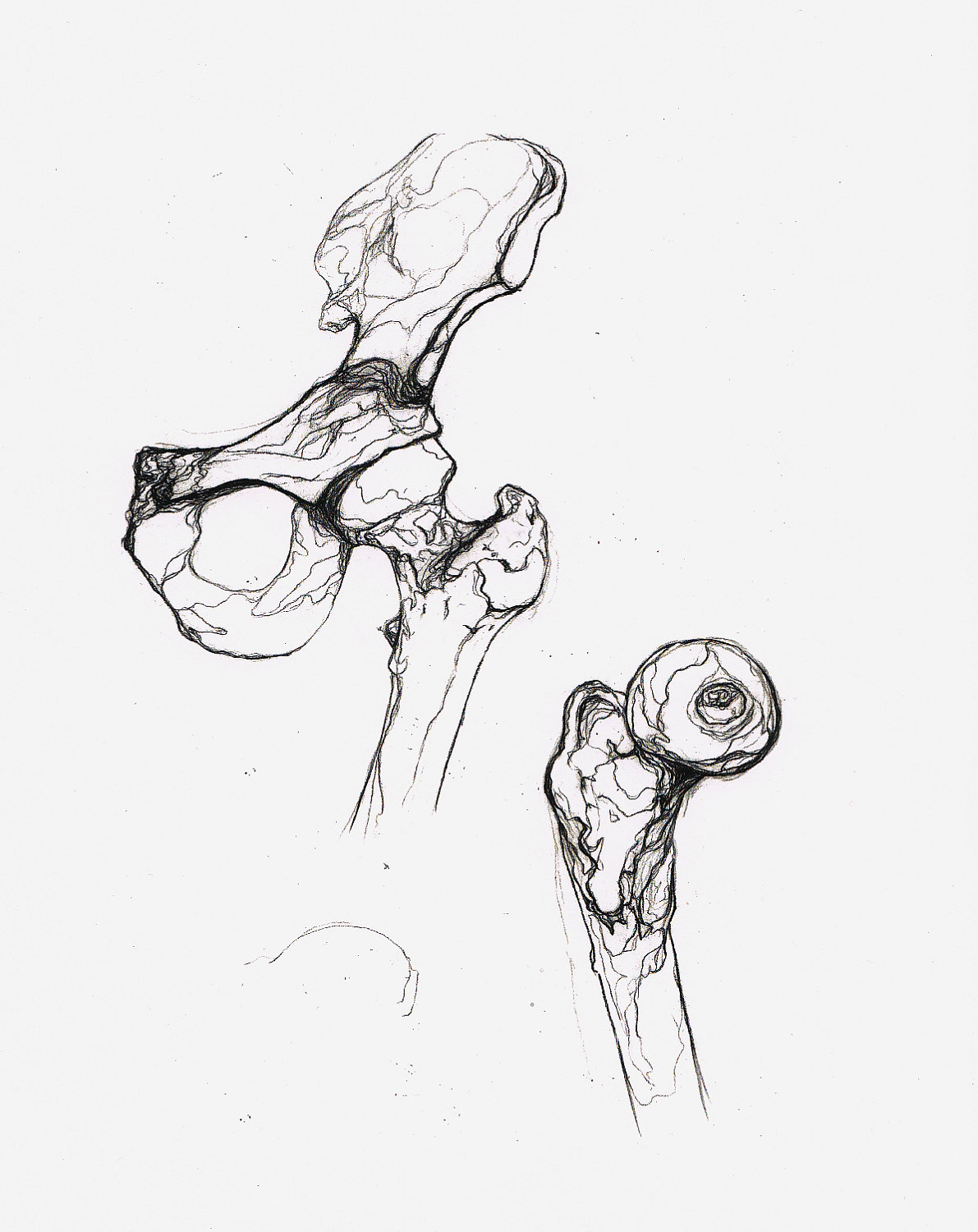 1191x1500 Hip Finds Lark Crafts