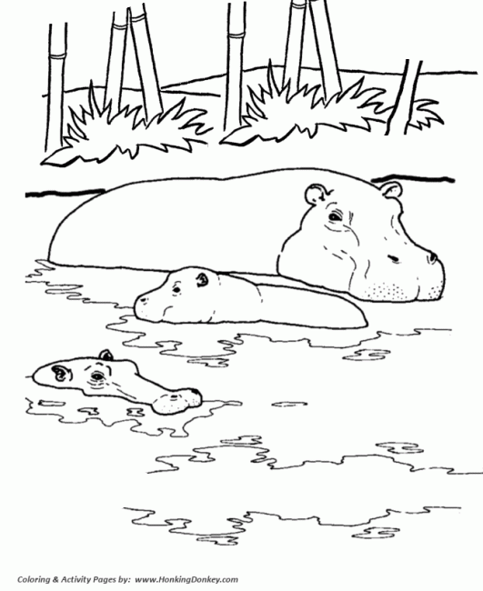 531x650 Hippo Coloring Pages H5 Nice Coloring Pages For Kids