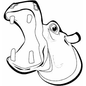 300x300 Drawn Hippo Mouth Open