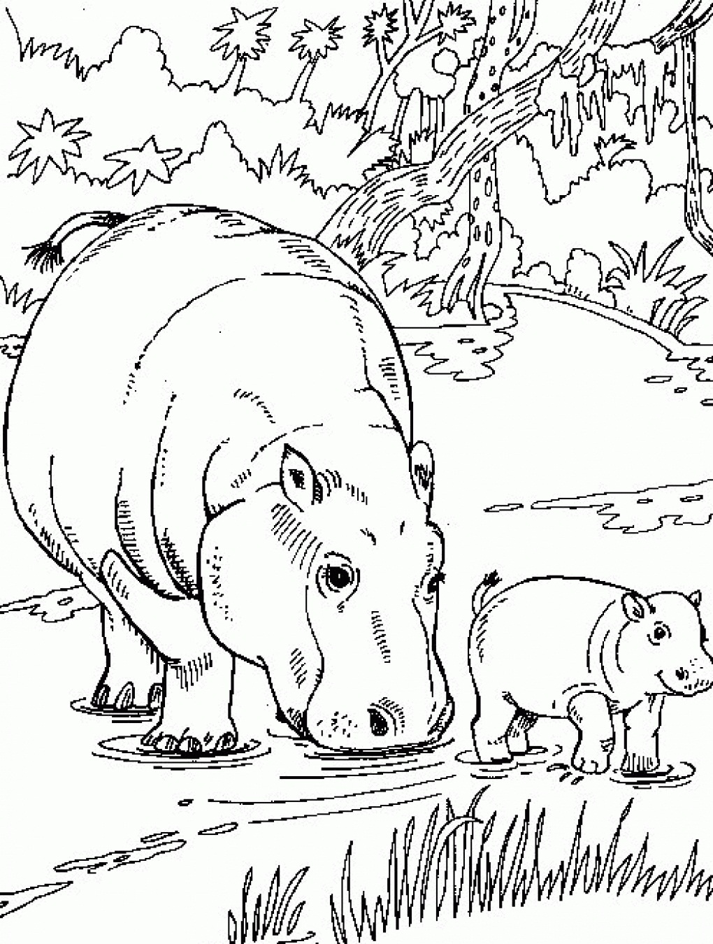 1020x1350 Free Printable Hippo Coloring Pages For Kids