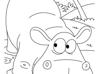 320x240 Awesome Hippo Coloring Page 59 About Remodel Coloring For Kids