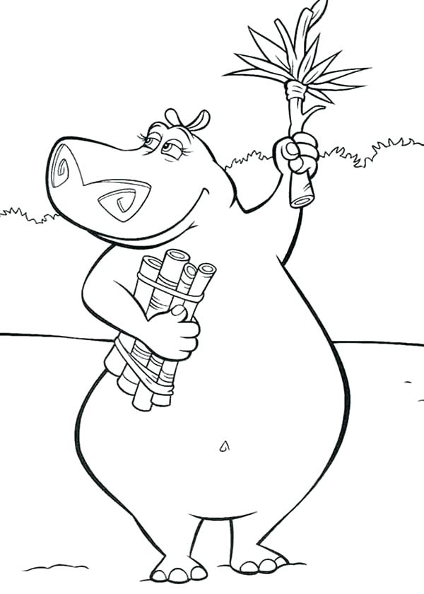 600x840 Top Rated Hippo Coloring Pages Pictures Free Coloring Pages