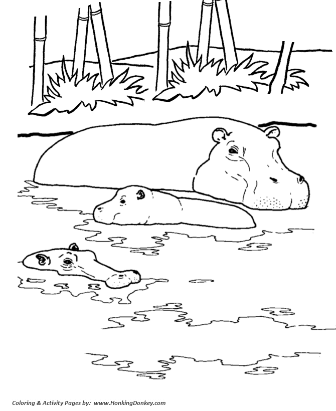 670x820 Wild Animal Coloring Pages Hippopotamus Coloring Page, River