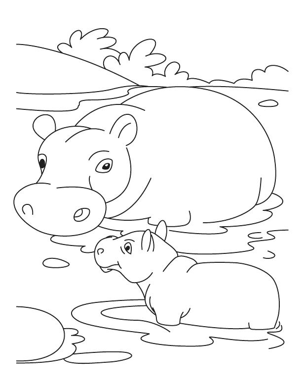 612x792 Baby Hippo Coloring Pages Free Printable For Kids To Print Best