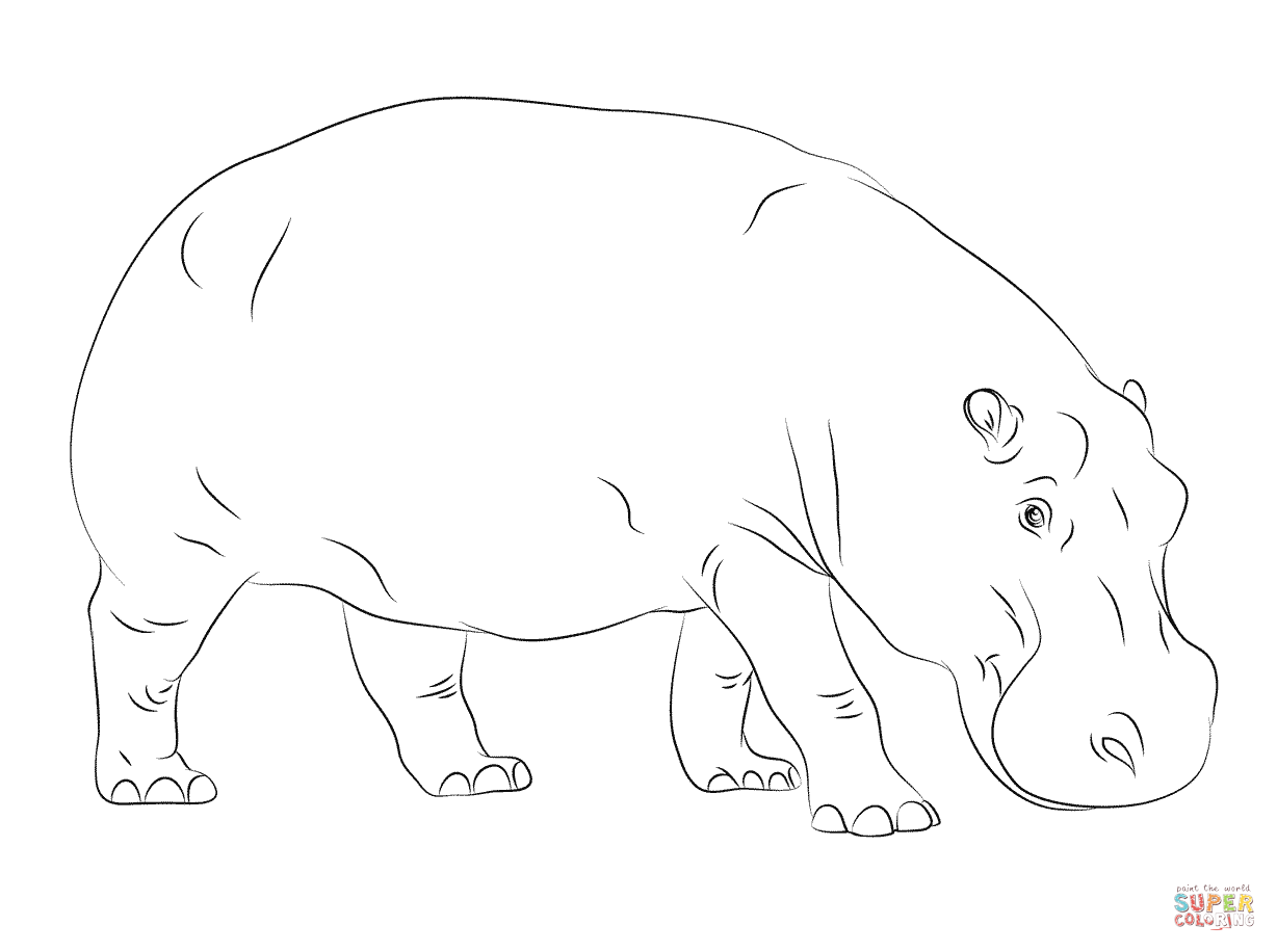Hippopotamus Coloring Pages For Kids Coloring Pages