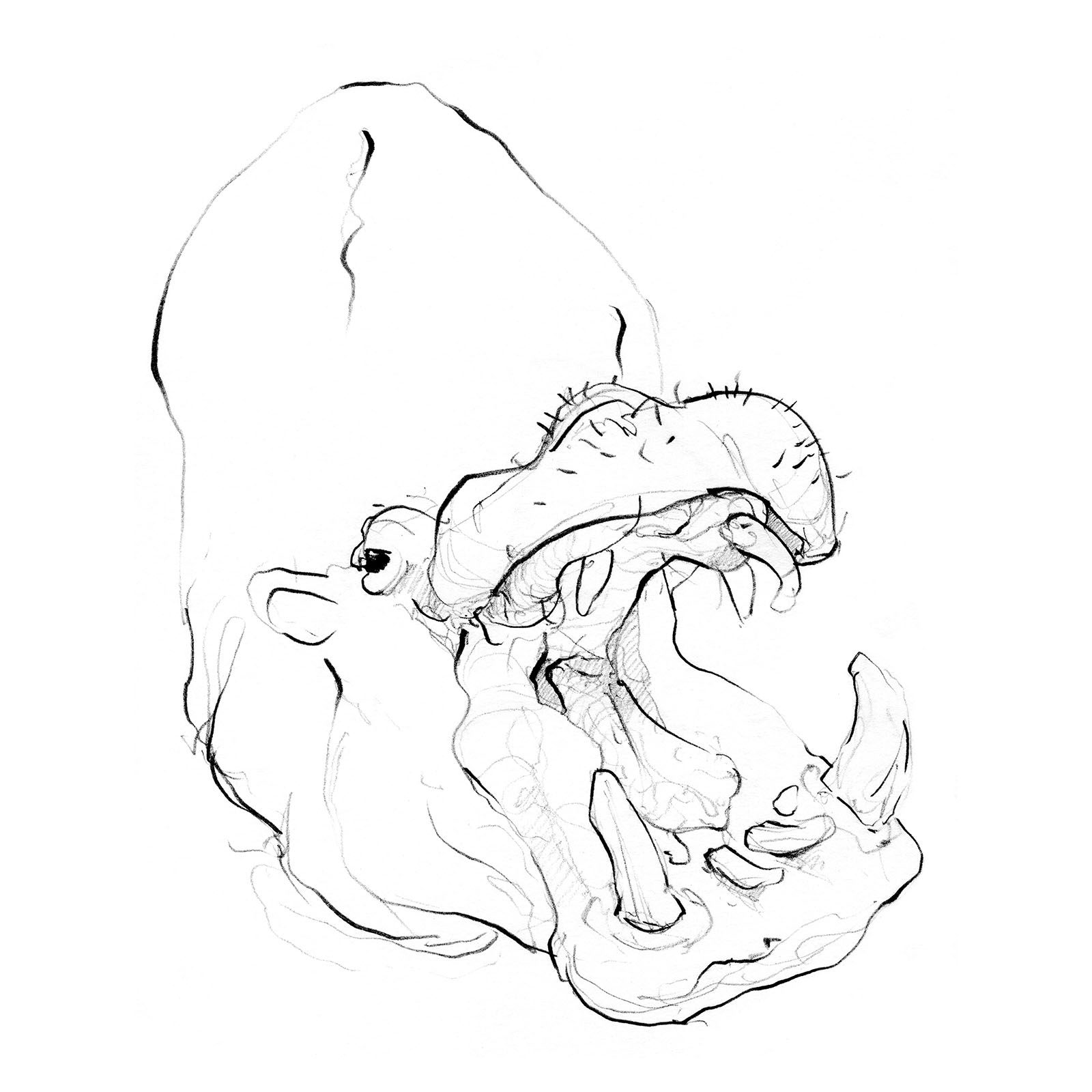 1600x1600 Nathalie Guinamard The Aoi