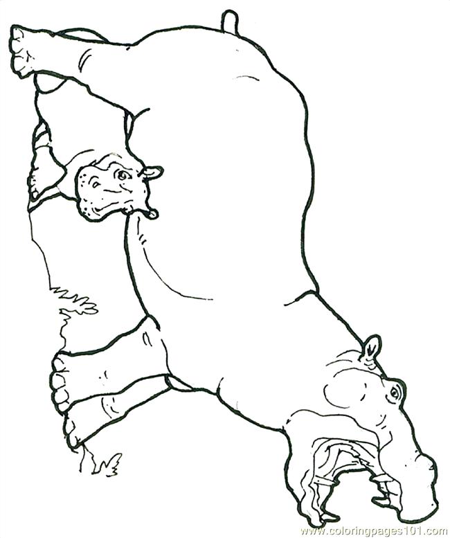 650x777 Hippopotamus Coloring Pages Trend Hippo Coloring Pages About