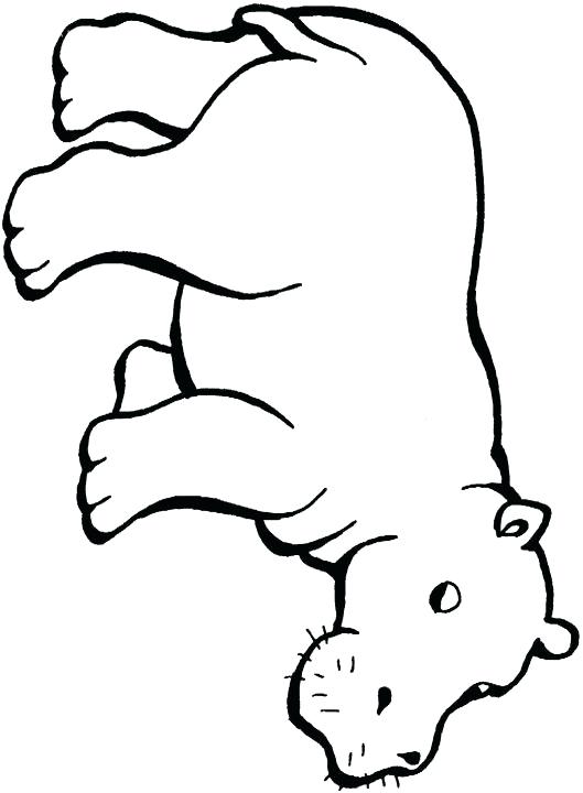 Hippo Line Drawing at GetDrawings | Free download