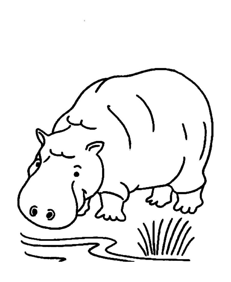 900x1101 Printable Hippo Coloring Pages Coloring Me