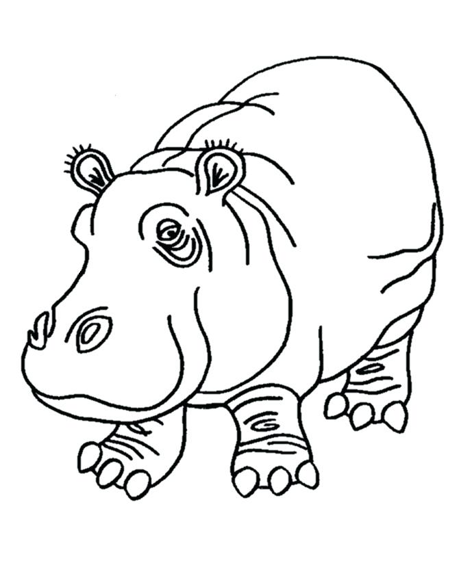 Hippo Outline Drawing at GetDrawings | Free download