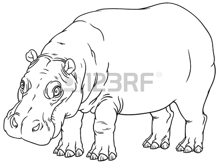 450x336 Hand Drawn Hippo Animal Vector Illustration. Sketch Isolated