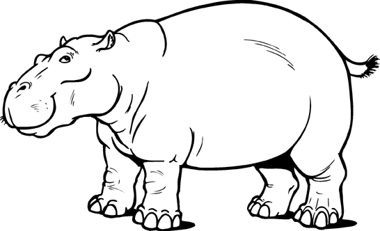 546x332 Hippo Clipart Black And White
