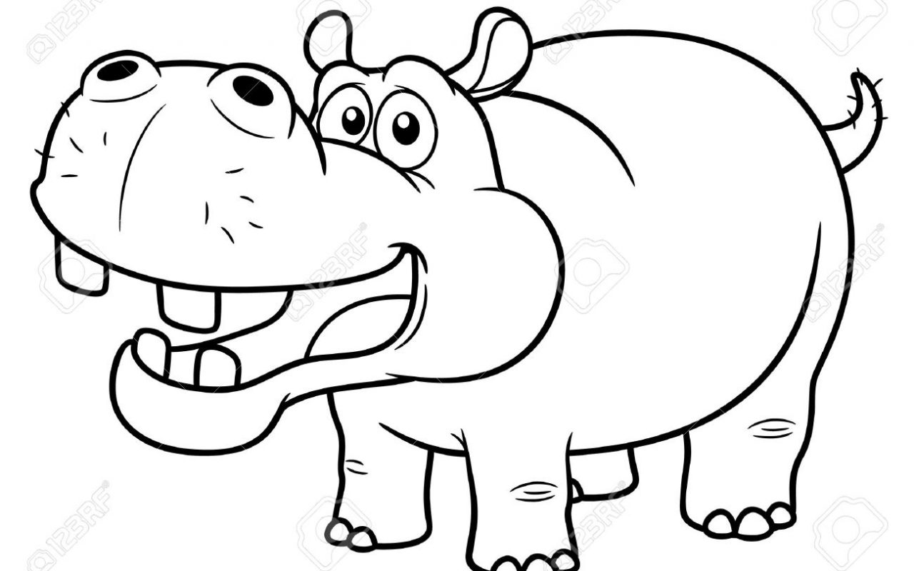 1280x800 Hippopotamus Coloring Pages Look Real Hippo Free Printable Animals