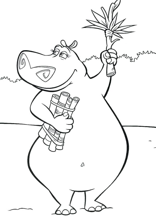 600x840 Hippopotamus Coloring Pages The Hippo Holding A Tree Branch