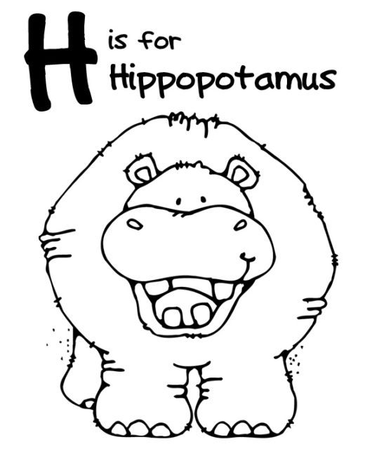 520x650 Hippopotamus Coloring Page 2 Nice Coloring Pages For Kids
