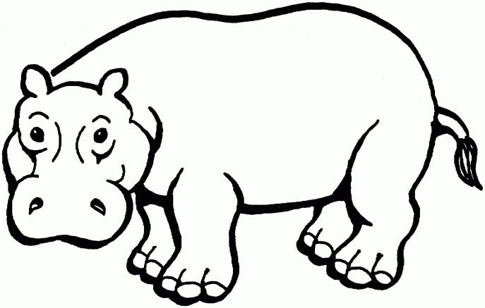 687x437 Coloring Pages Beautiful Hippo Coloring Pages Baby For Kids Page