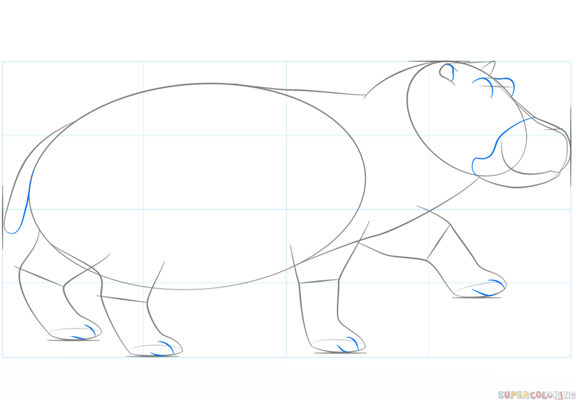 828x575 How To Draw A Hippo Step By Step Drawing Tutorials