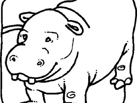 440x330 8 Hippopotamus Coloring Pages, Free Printable Hippo Coloring Pages
